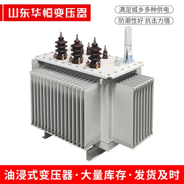 S11-10000/35天涯天涯天涯电力变压器价格